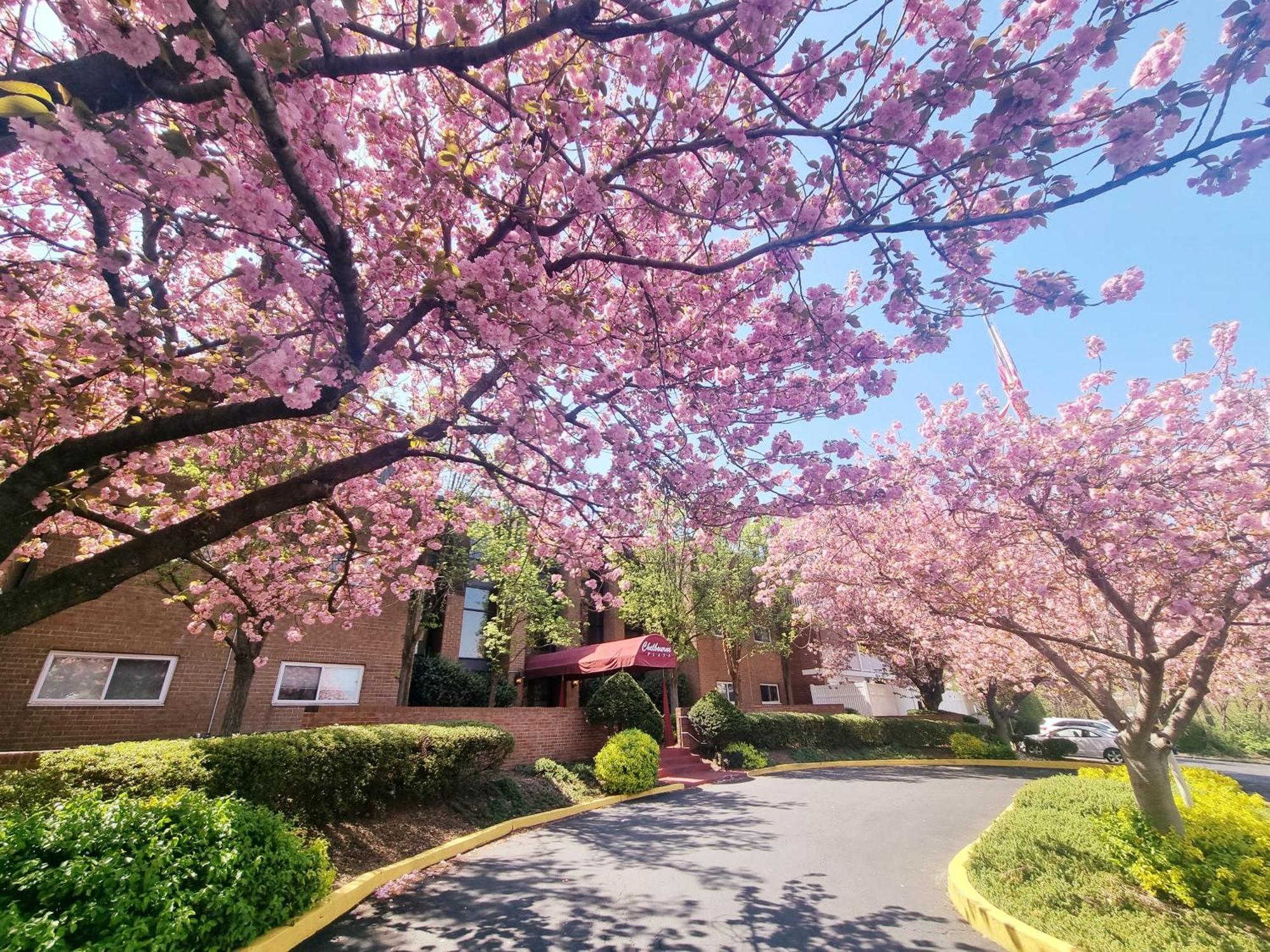 Amazing 2br 2b In Apartment